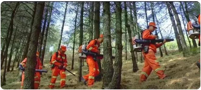 全市森林草原防火期結束，嵩明持續筑牢森林&ldquo;防火墻&rdquo;